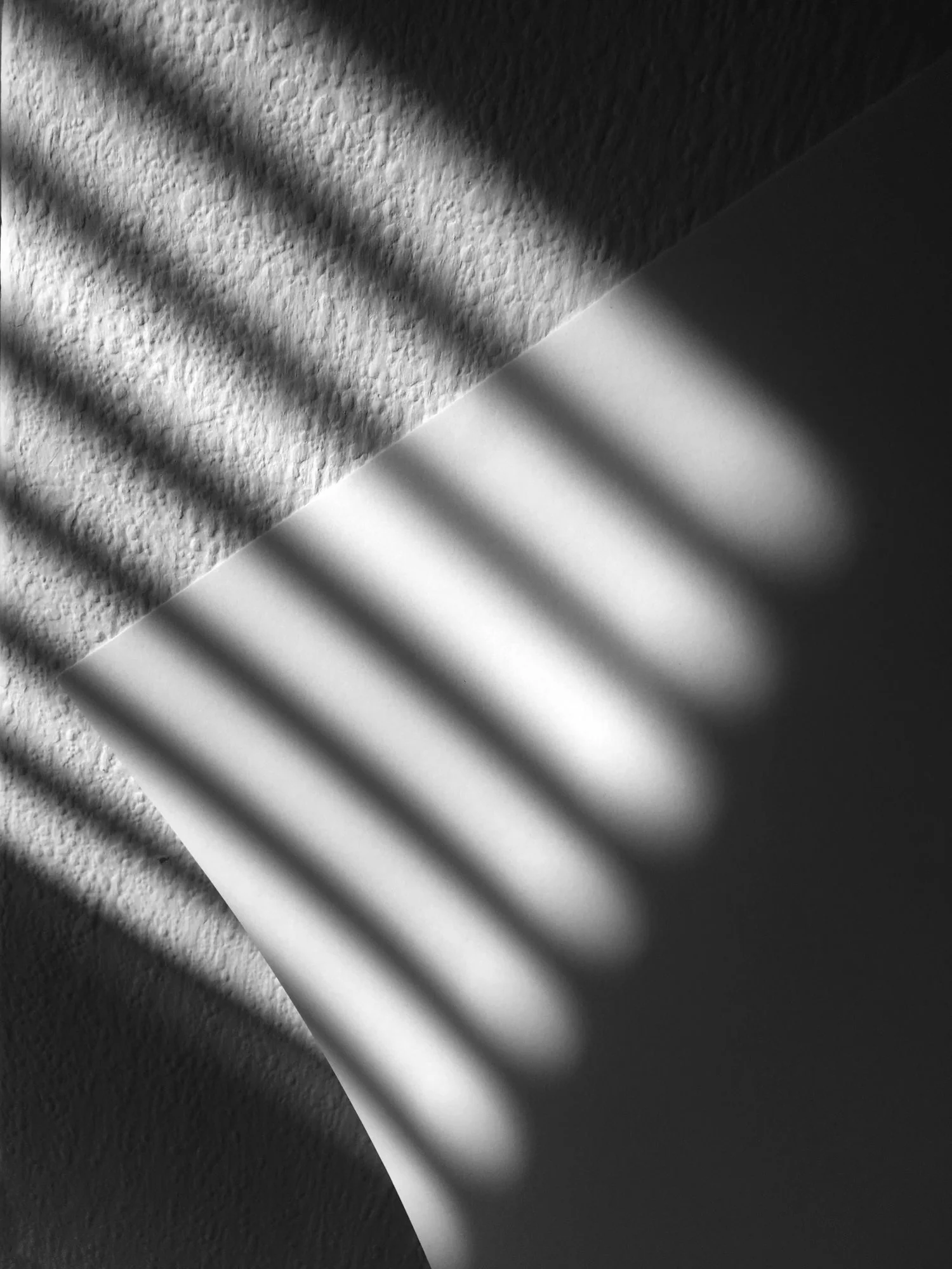 rib001.jpg