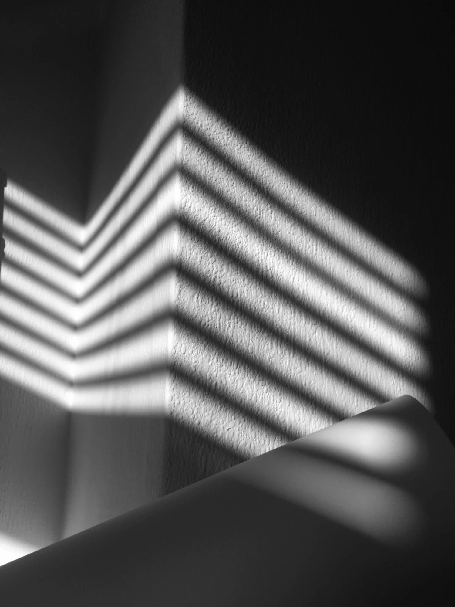 rib006.jpg
