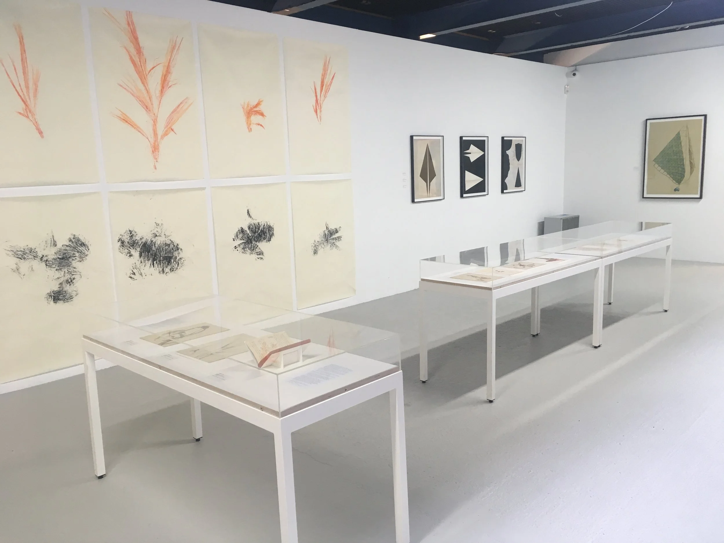Review: Modern Nature at Drawing Room | Wilma 