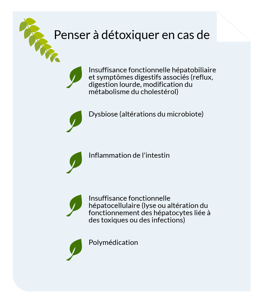 alix-le-calvez-diecc81tecc81ticienne-nutritionniste-bordeaux-1-e1550512155674.png