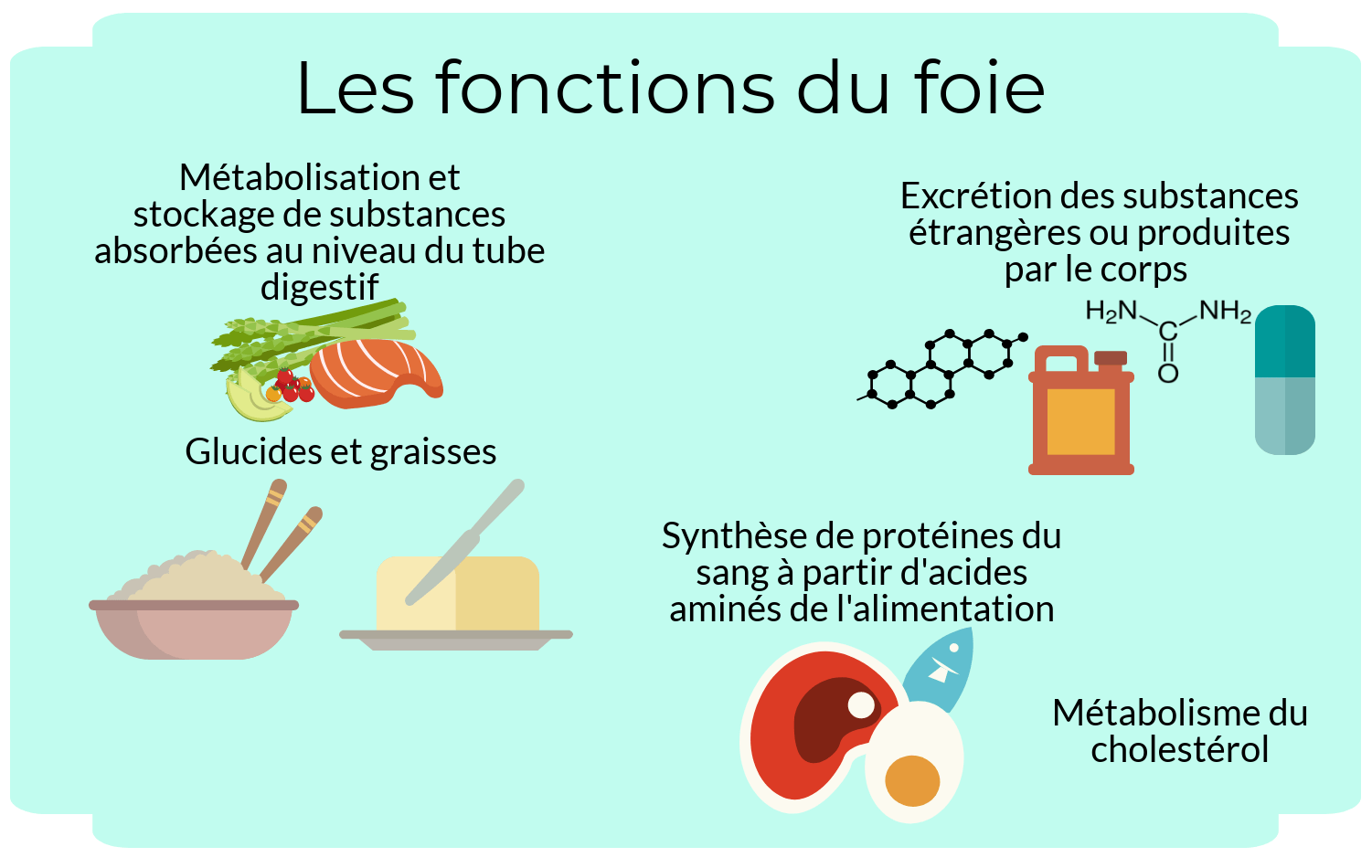 alix-le-calvez-diecc81tecc81ticienne-nutritionniste-bordeaux-2-e1550522113223.png