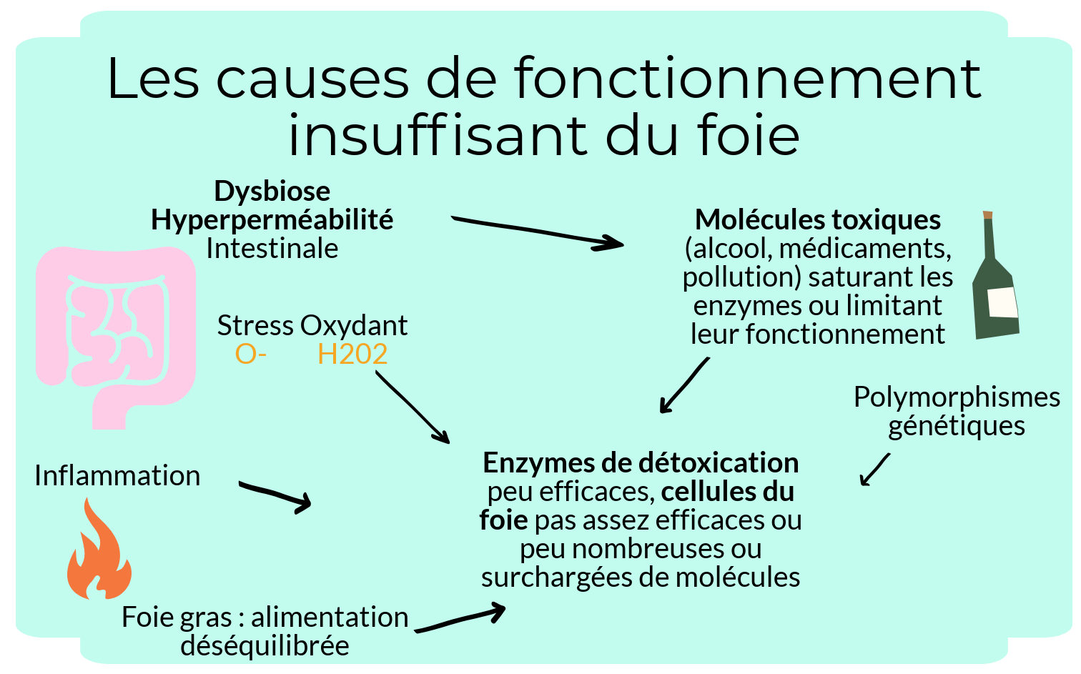 alix-le-calvez-diecc81tecc81ticienne-nutritionniste-bordeaux-4-e1550564340275.png