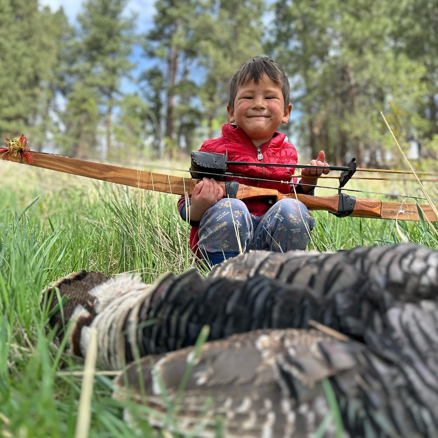 Spring Turkey with the recurve! 🎯🦃Not the biggest Turkey out there but I get considerably less picky when I have the traditional bow. 

I heard these guys in the woods causing a ruckus and snuck over for a shot&hellip;Zaia was able to watch from af