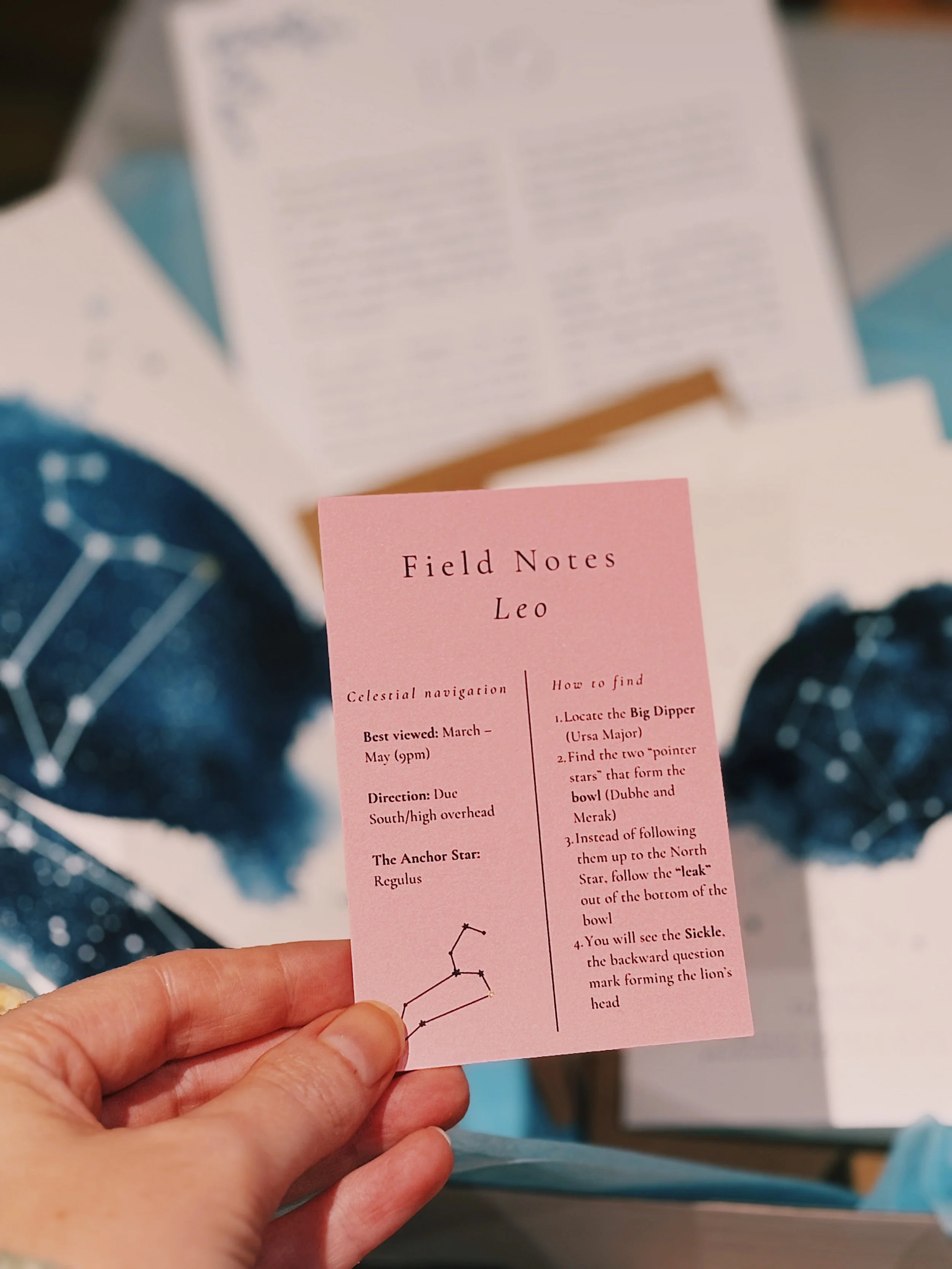 FullSizeRender_VSCO 4.JPG