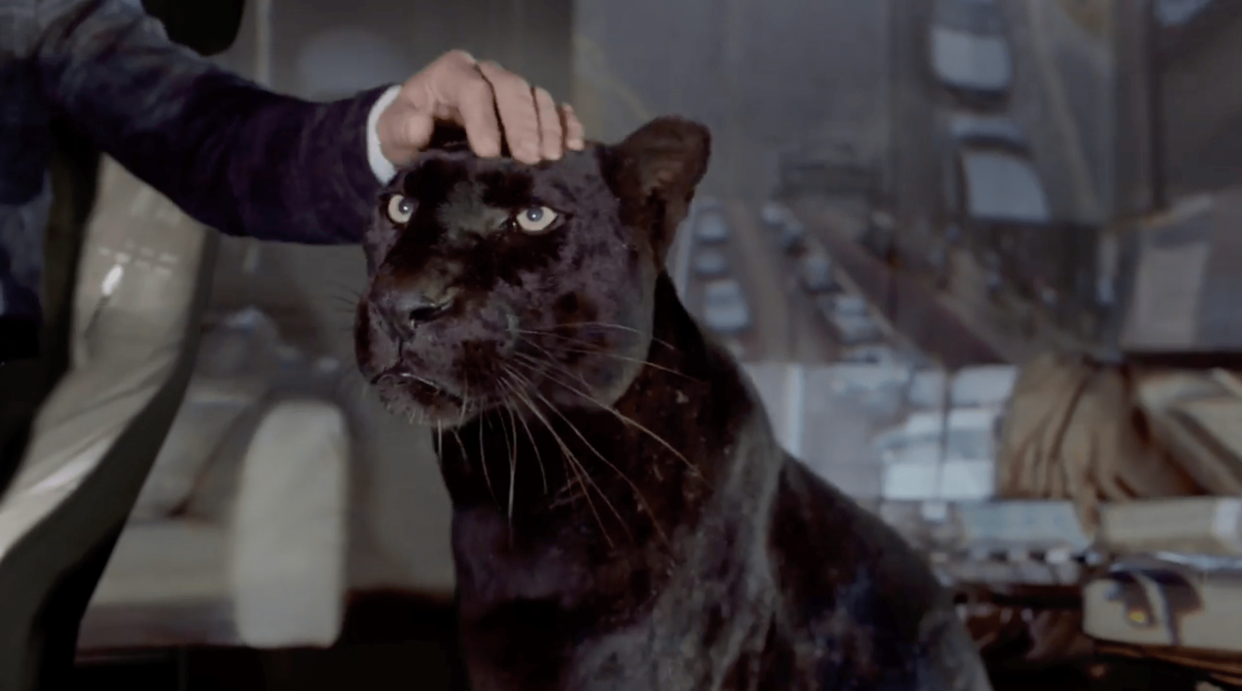 JAGUAR BRAND GLOBAL – GOOD TO BE BAD