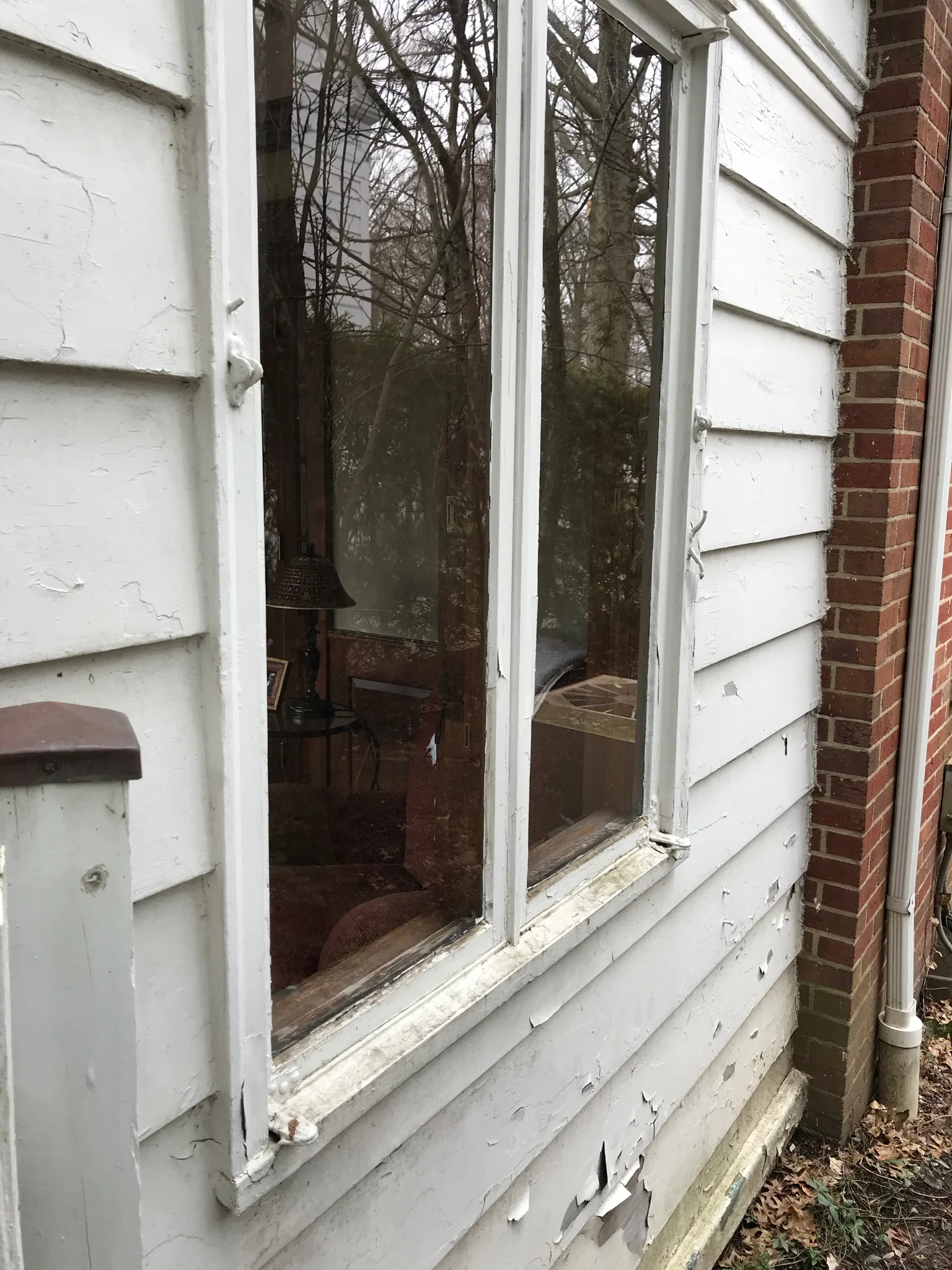 IMG_0110.jpeg