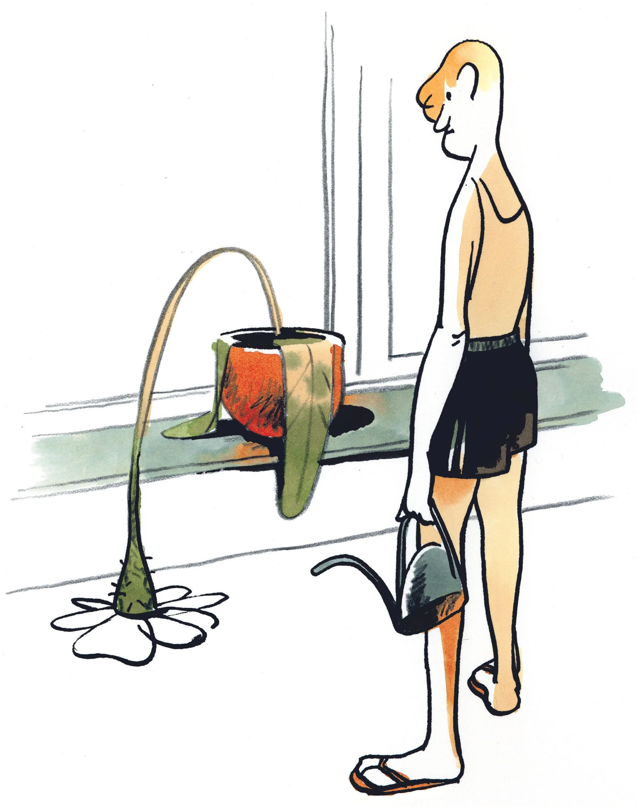 Enttäuschungen 001.jpg