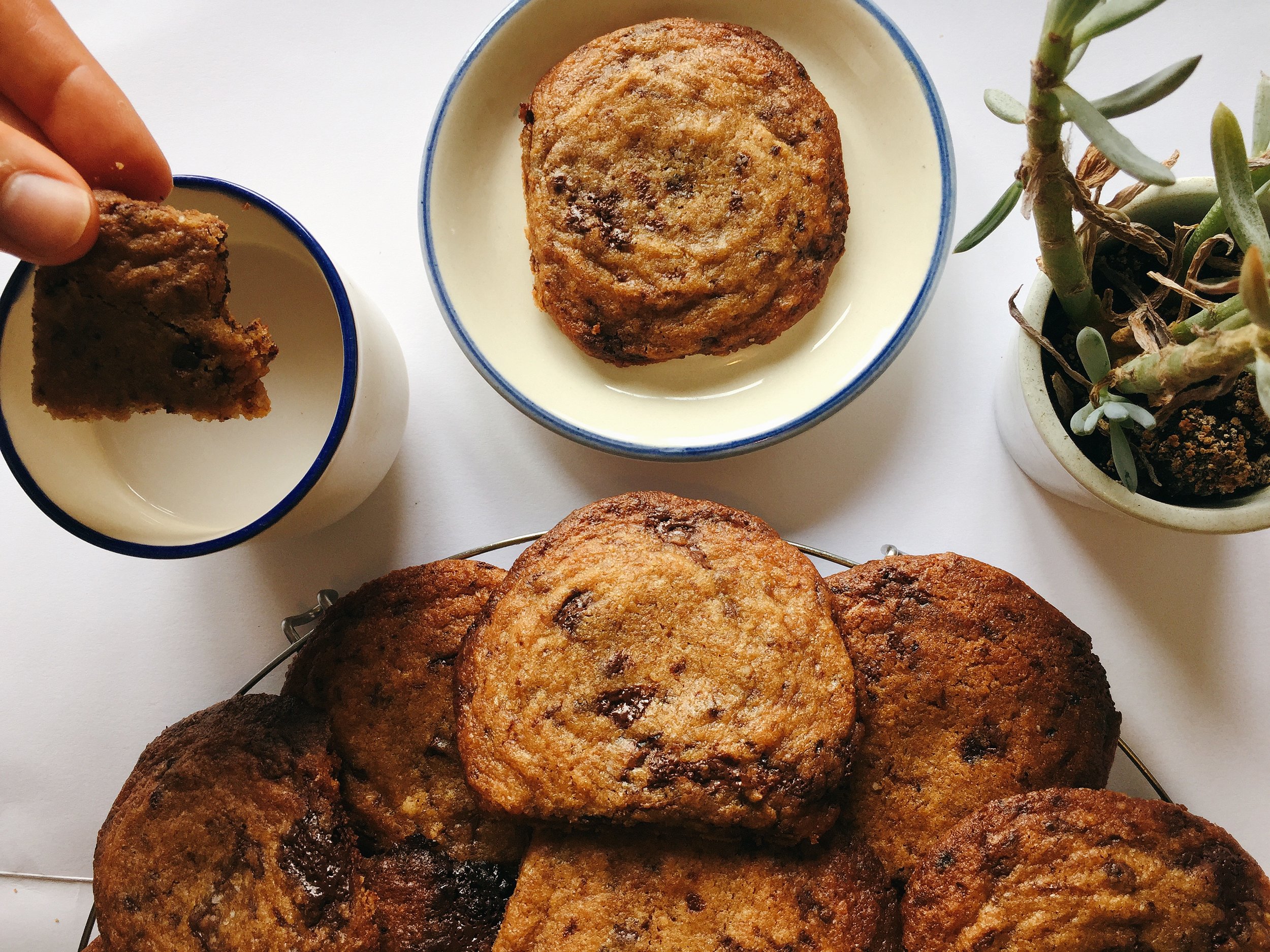 Espresso Chocolate Cookies