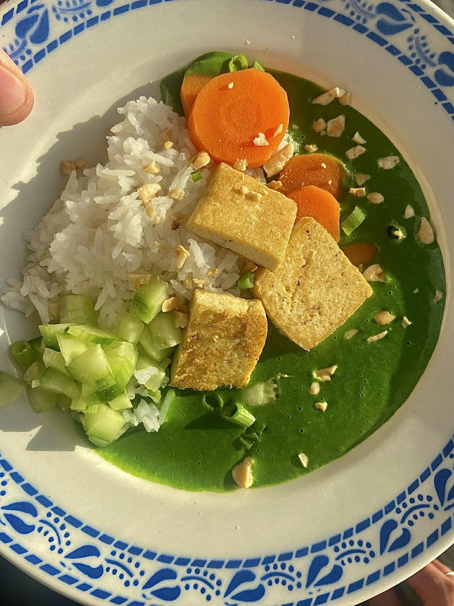 Spinach-coconut sauce