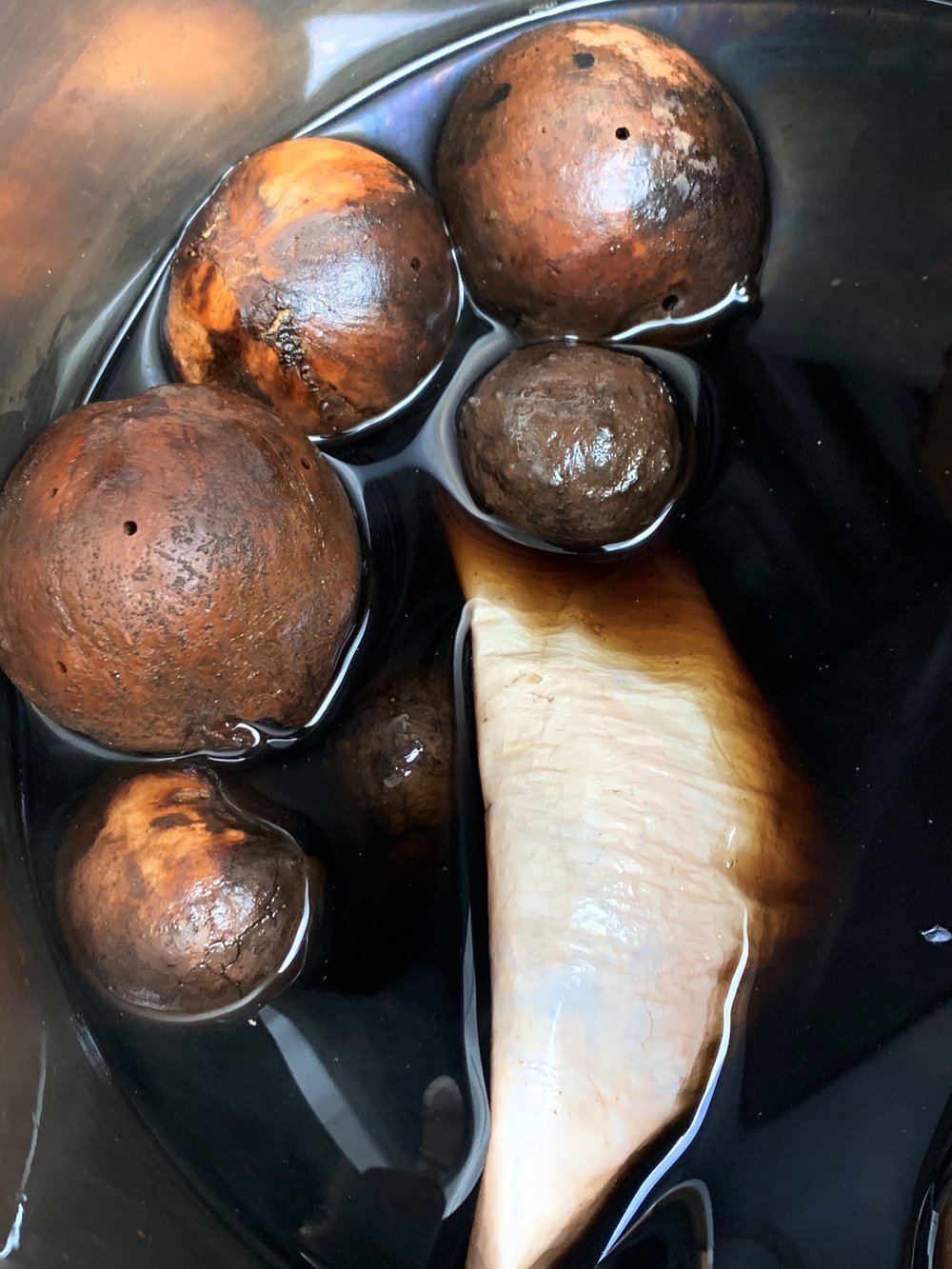 dyeing with oak galls 