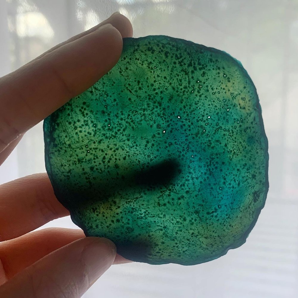 scoby dyed with spirulina 