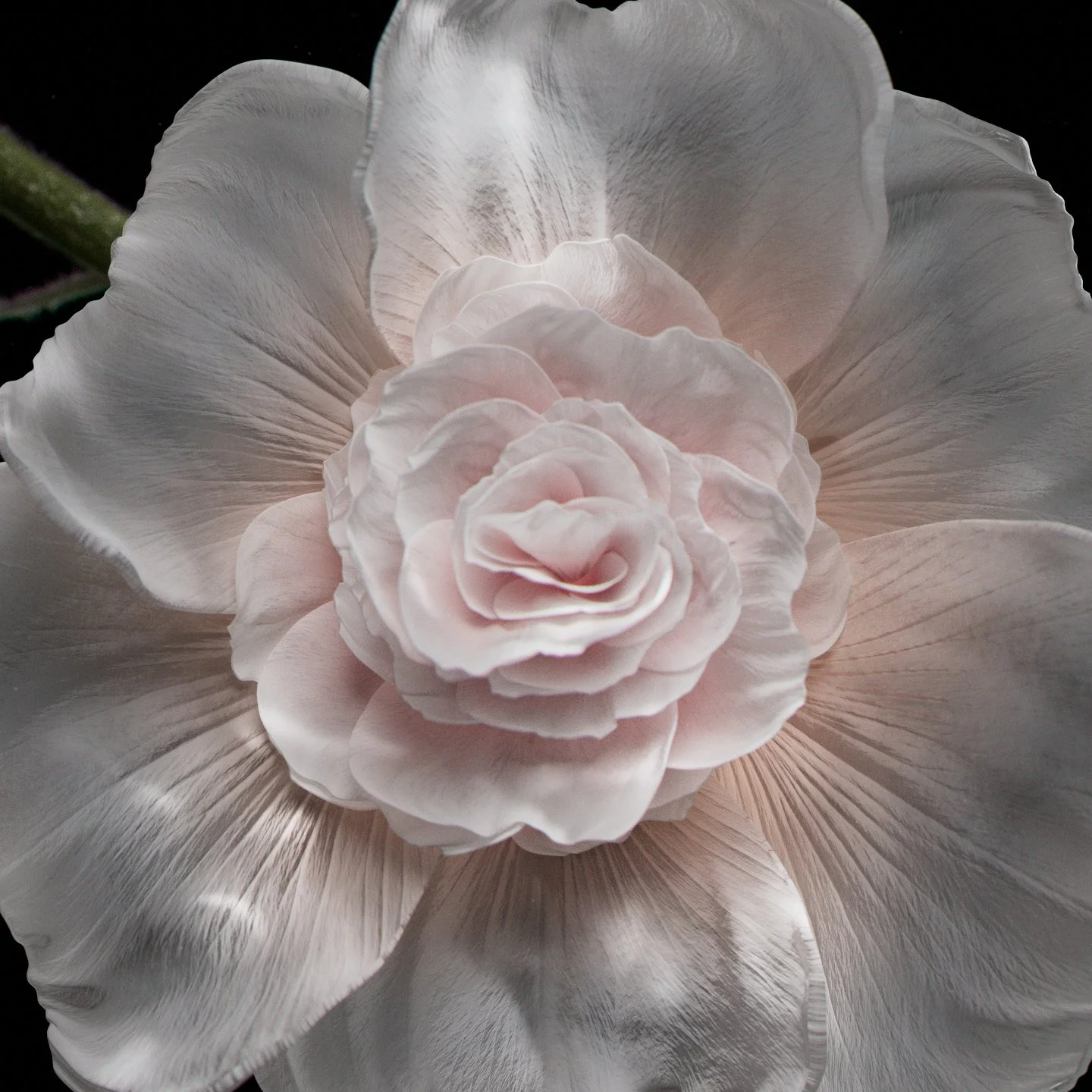 dead 2 (0-00-11-07).jpg