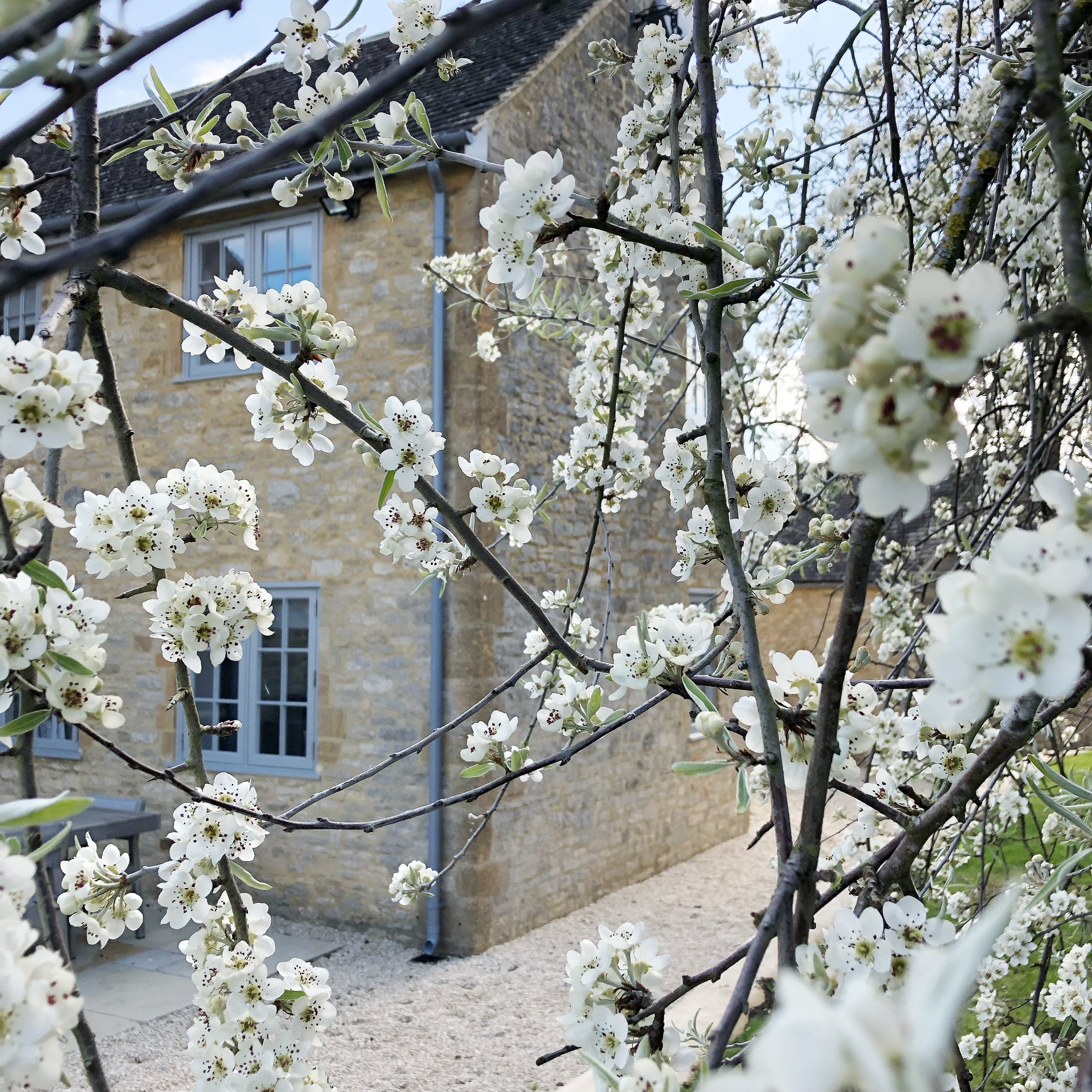 AfterlightImage 97.JPG