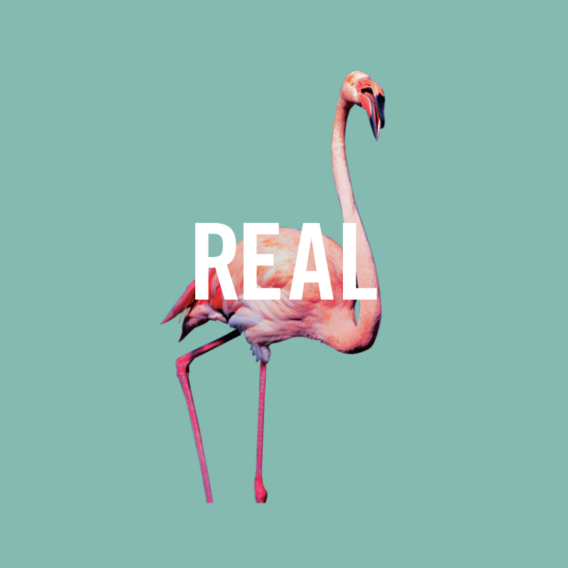 HM Get Real alt.png