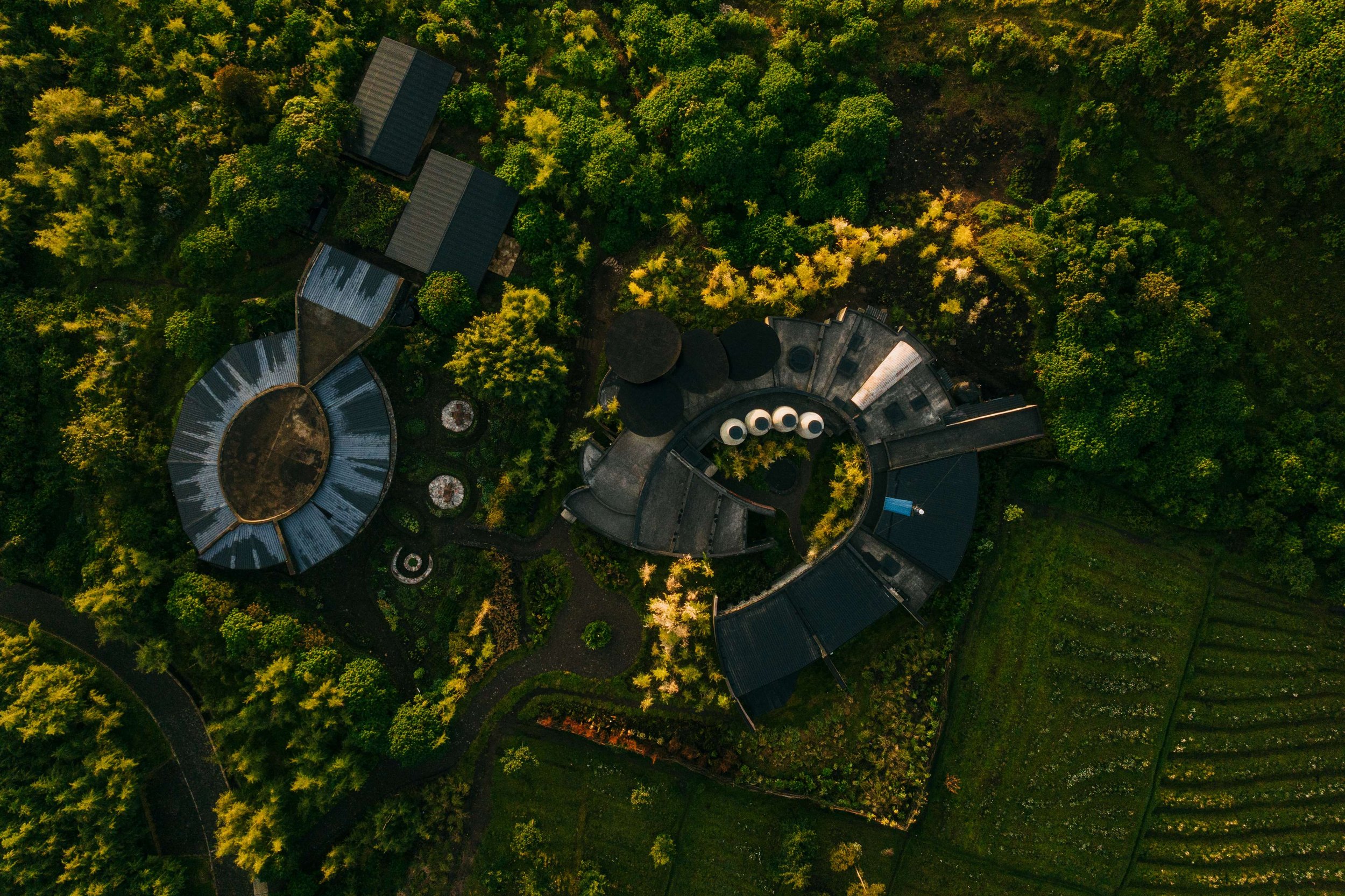 Aerial view of Bisate Sanctuary's two circular wing structures nestled within the lush green forest of Volcanoes National Park, Rwanda — Black Sable