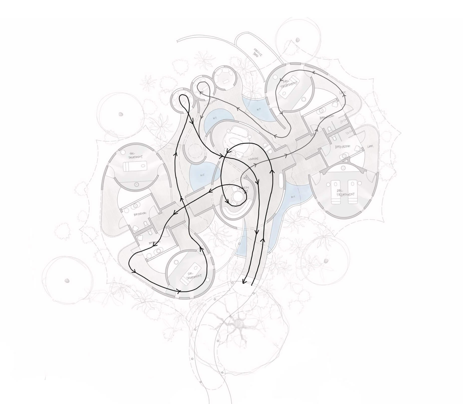 Mombo Drawing-3.jpg