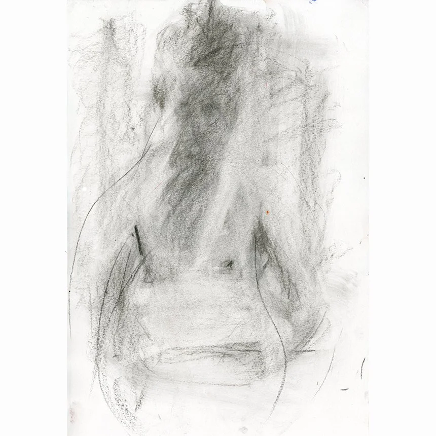 6 torso-SITE.jpg