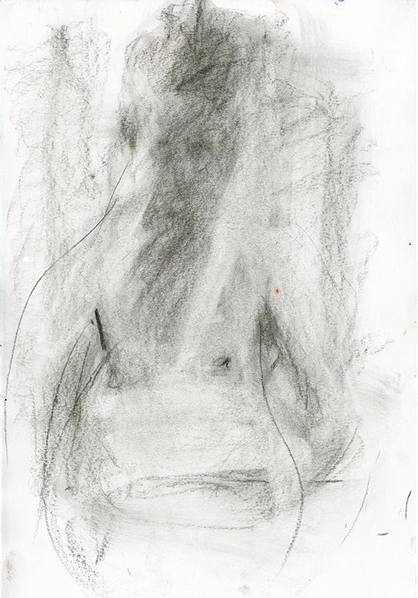 6 torso-SITE.jpg