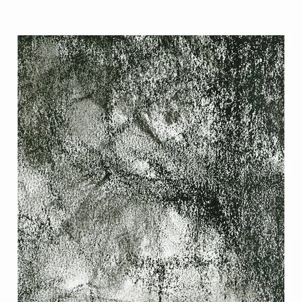 3-canopy-DETAIL-SITE.jpg