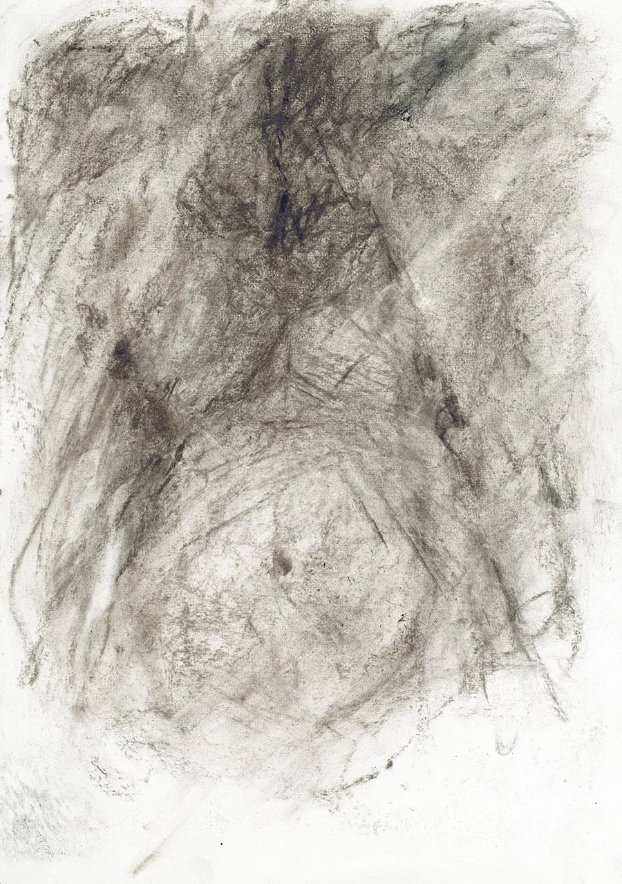 5-torso-2-SITE.jpg