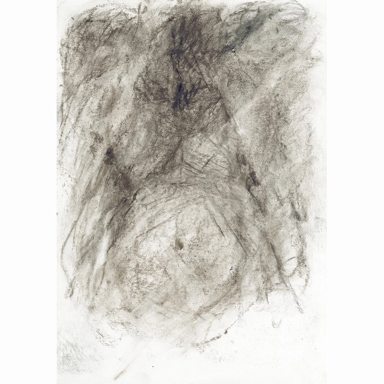 5-torso-2-SITE.jpg