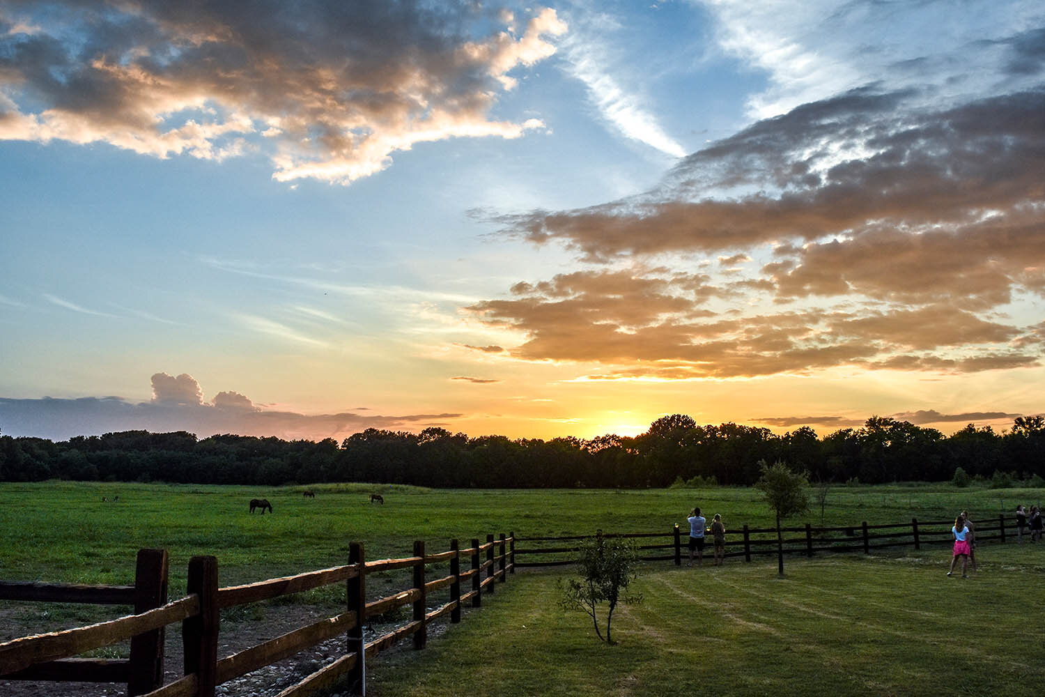 BarnHill Vineyards