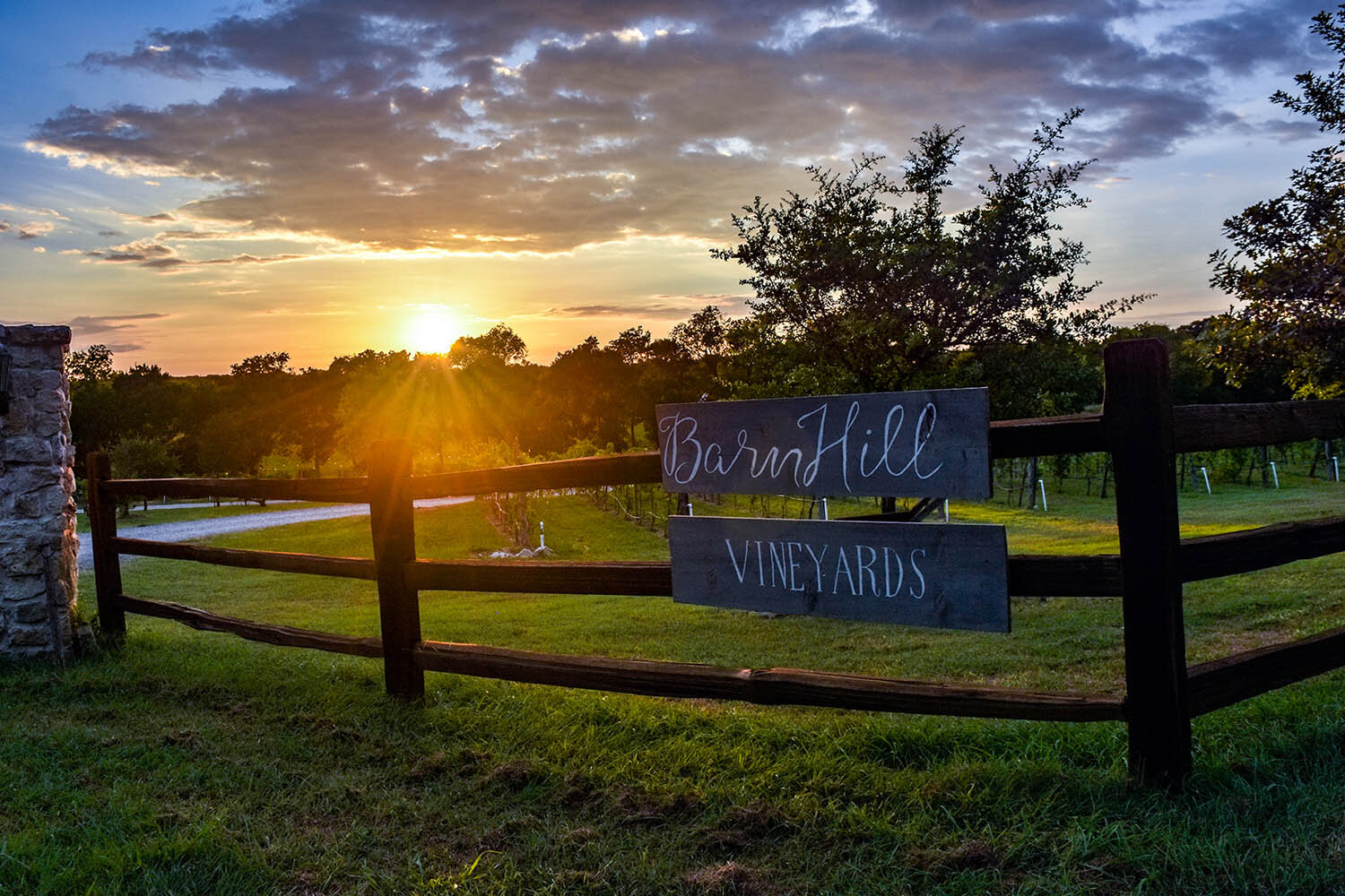 BarnHill Vineyards