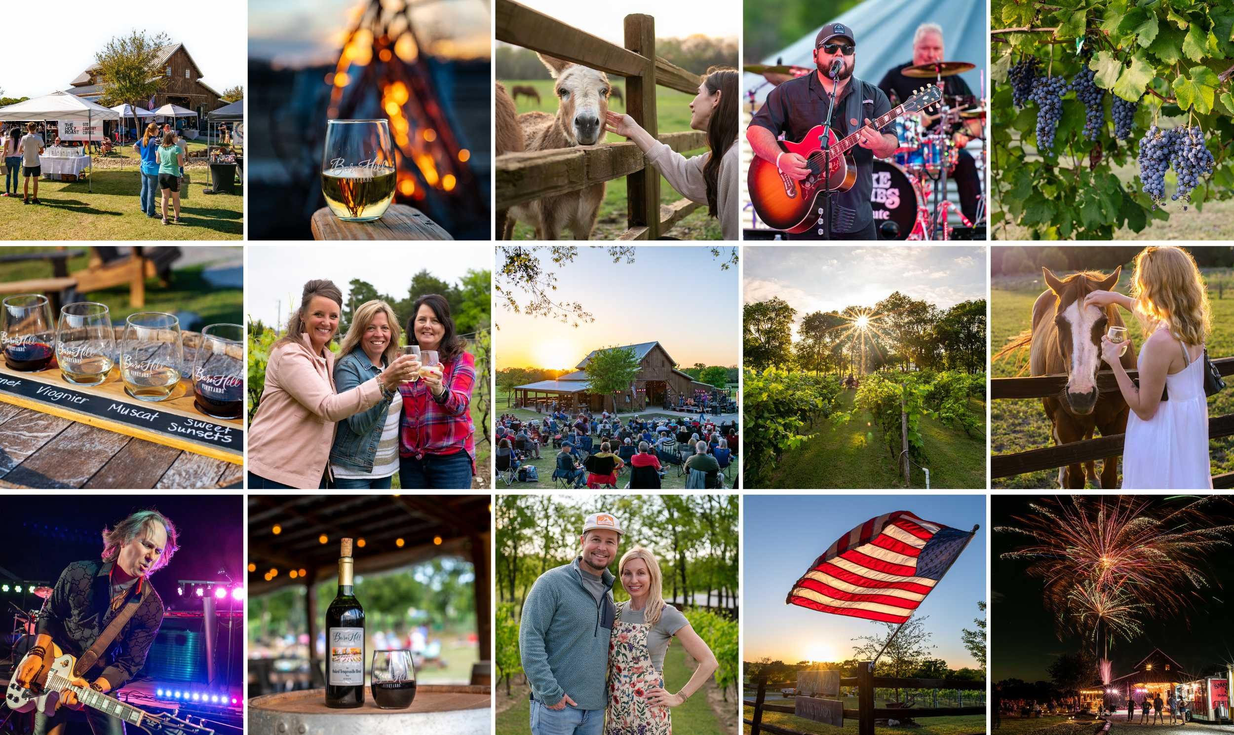 Untitled design (8).jpg