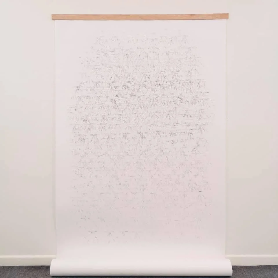 I Walked the Land Until I Fell into the Sky  graphite on fabriano with oak slat 150cmx225cm (2020) Installation view Linenhall Arts Centre 