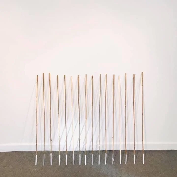 Installation view  I Walked the Land until I Fell into the Sky  bamboo, oil paint, gesso 2020