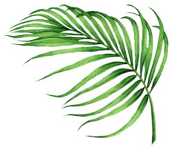 logofrond.png