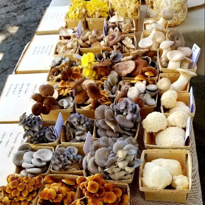 At 2 River Gourmet Mushroom Co Hyper-Local Means Sustainably-Delicious