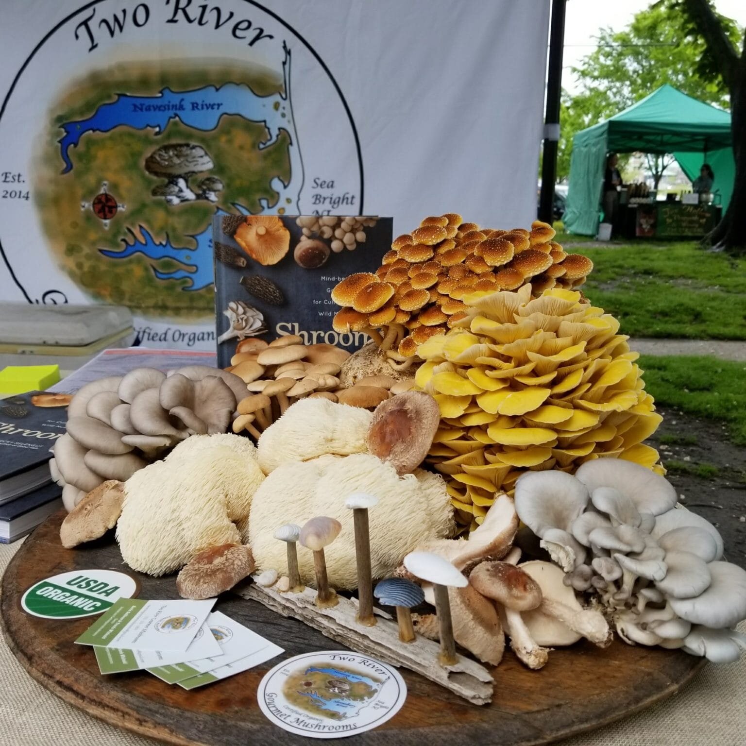 “Two River Mushroom Co.: An Interview With Founder KC Sullivan”https://jerseybites.com/2021/02/two-river-mushroom-co-an-interview-with-founder-kc-sullivan/