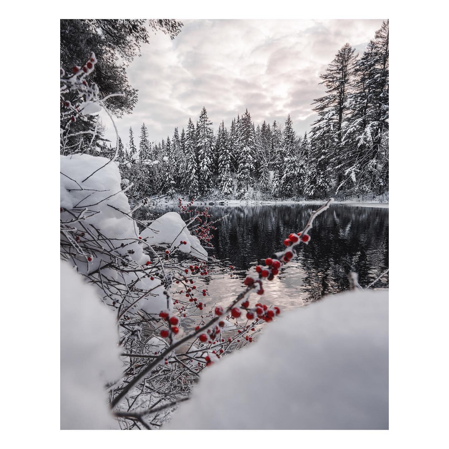 &ldquo;Commitment is what transforms a promise into a reality.&rdquo; - Abraham Lincoln 
&bull;
&bull;
&bull;
Early morning sunshine spilling through the trees onto the water somewhere in Algonquin Provincial Park. Waking up early can be brutal but I