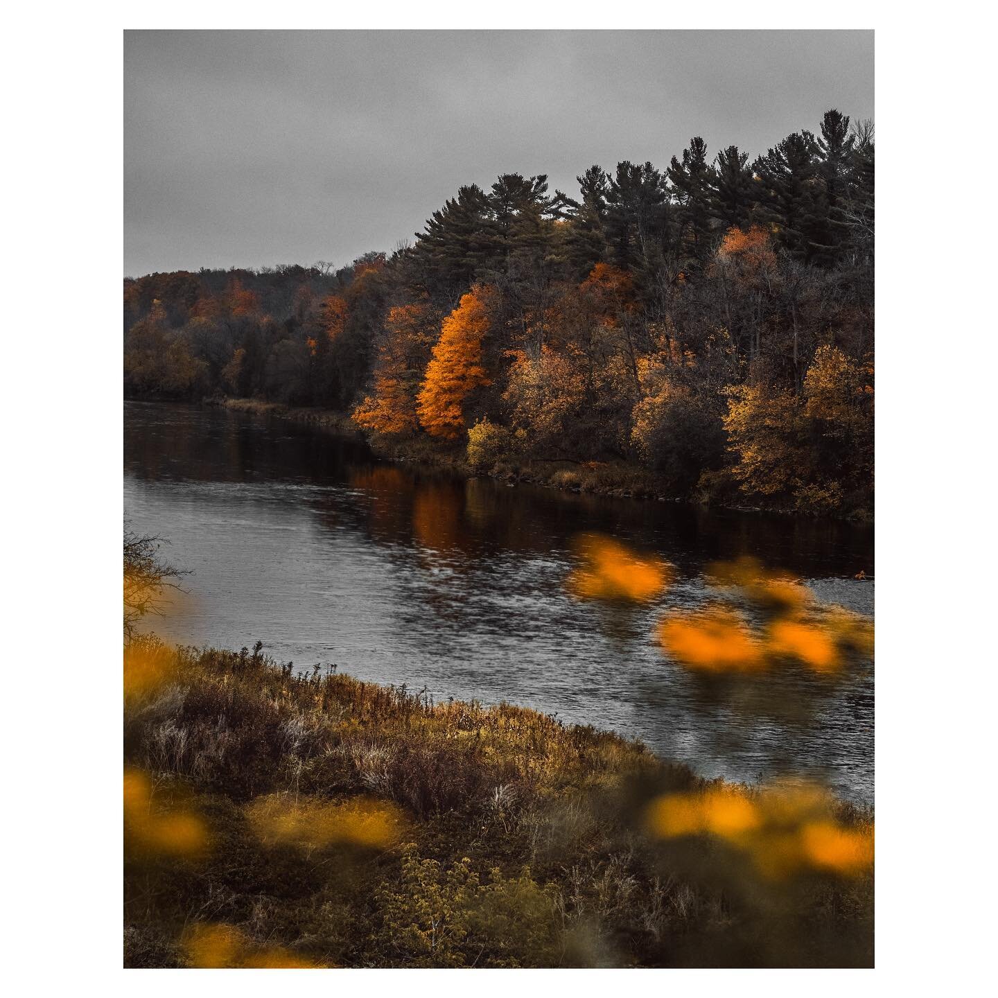 &ldquo;Normality is a paved road: It&rsquo;s comfortable to walk, but no flowers grow.&rdquo; - Vincent Van Gogh 
&bull;
&bull;
#Canada #Nikon #NikonCanada #ShootNikon #nikonstayinspired #ExploreCanada #EnjoyCanada #TourCanada #ImagesofCanada #EarthF