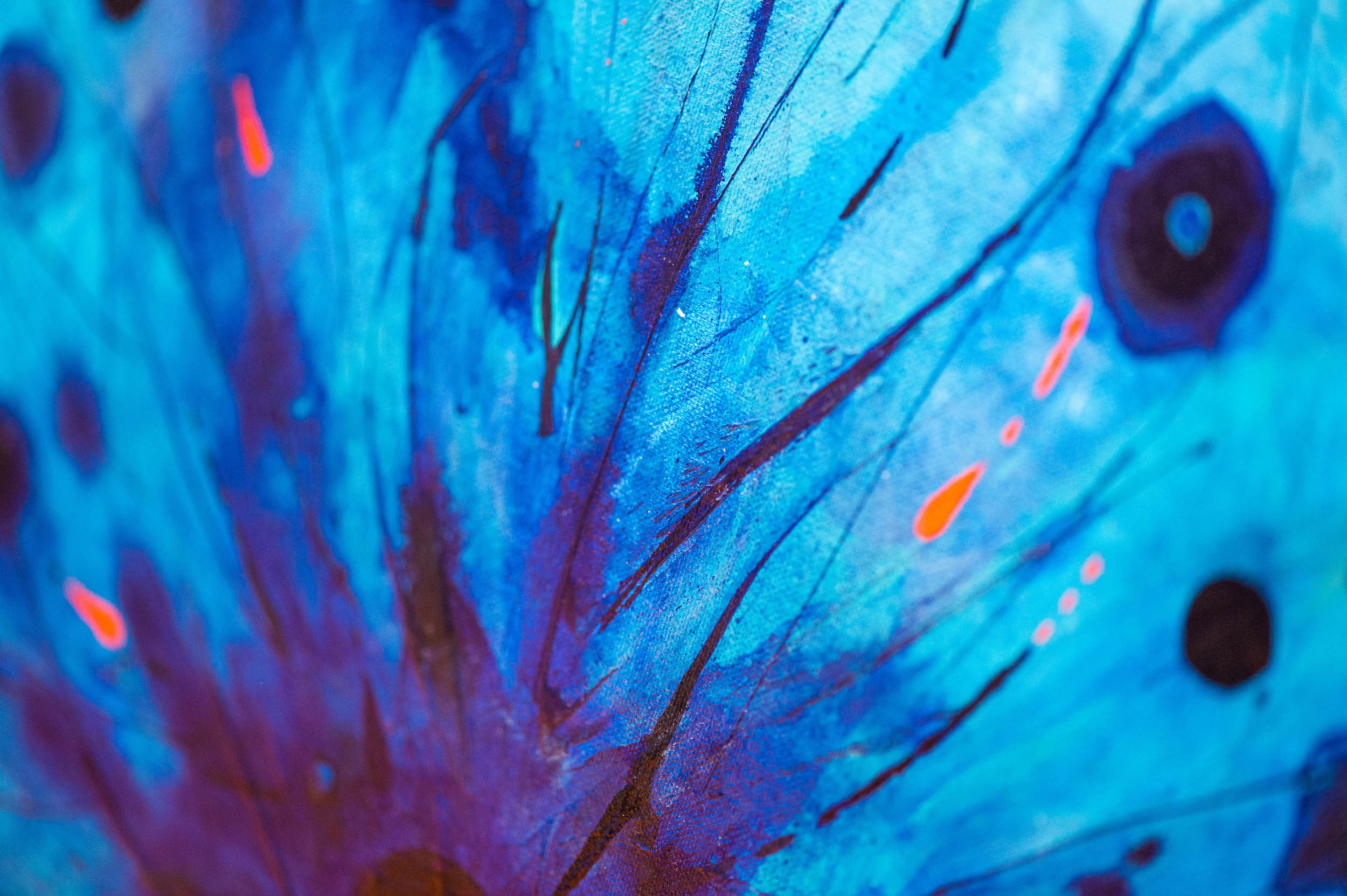 VIBRANT, JOYFUL ART TO FEED YOUR SOUL