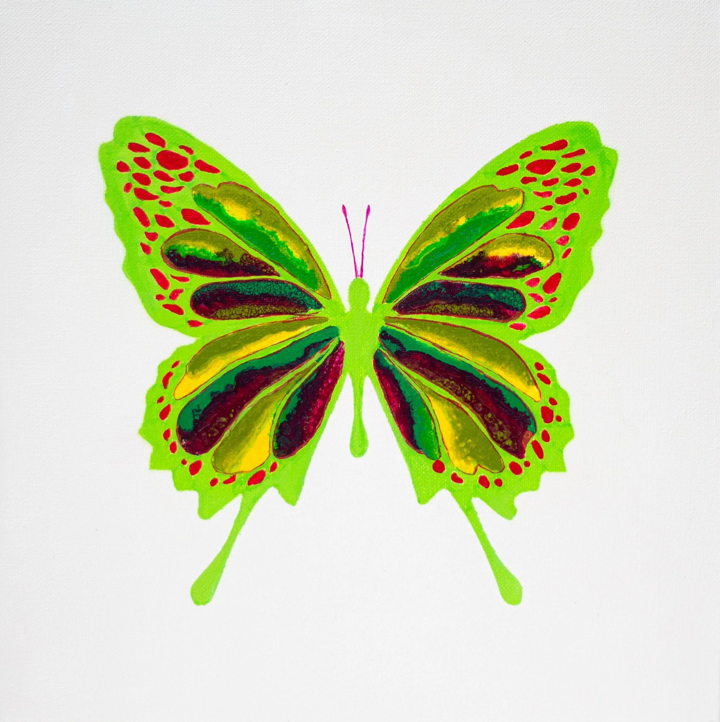 New Beginnings Nr 20