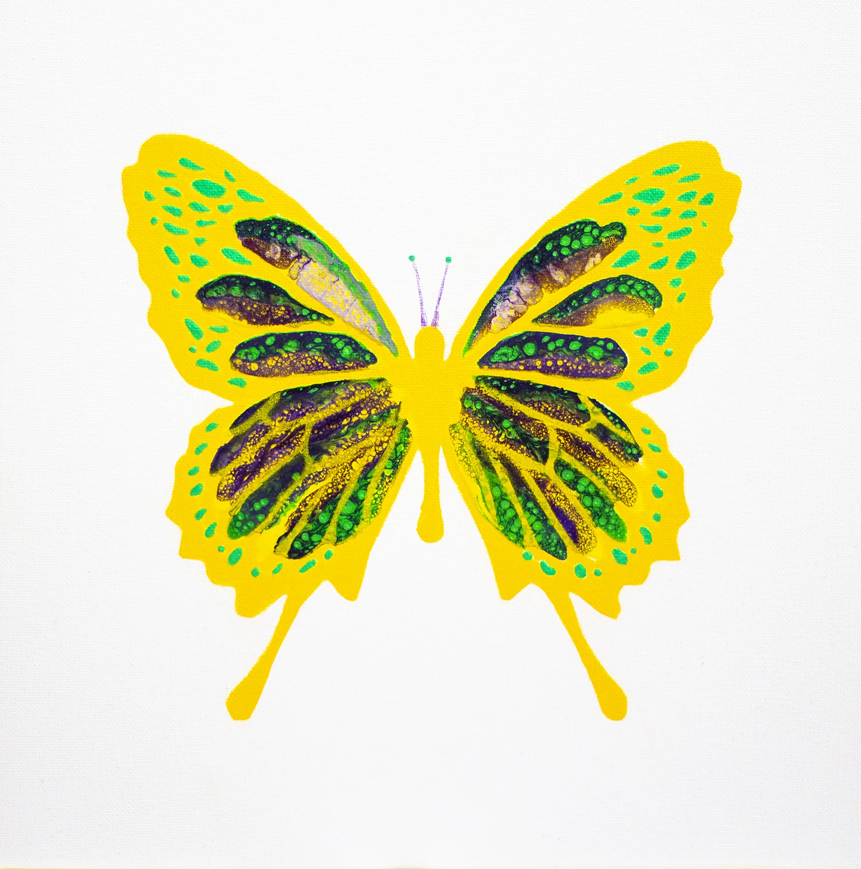 New Beginnings Nr 24