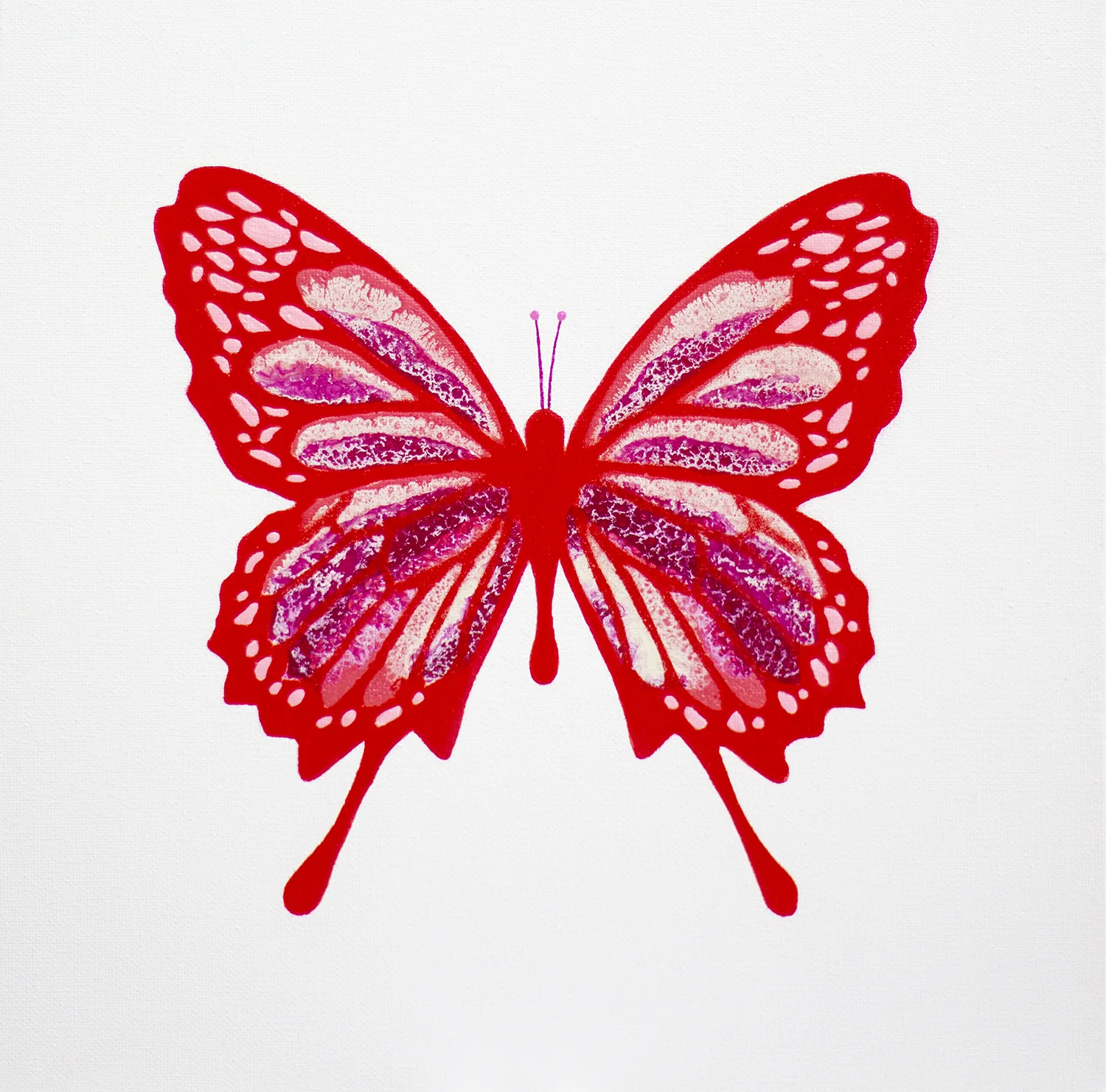 New Beginnings Nr 29