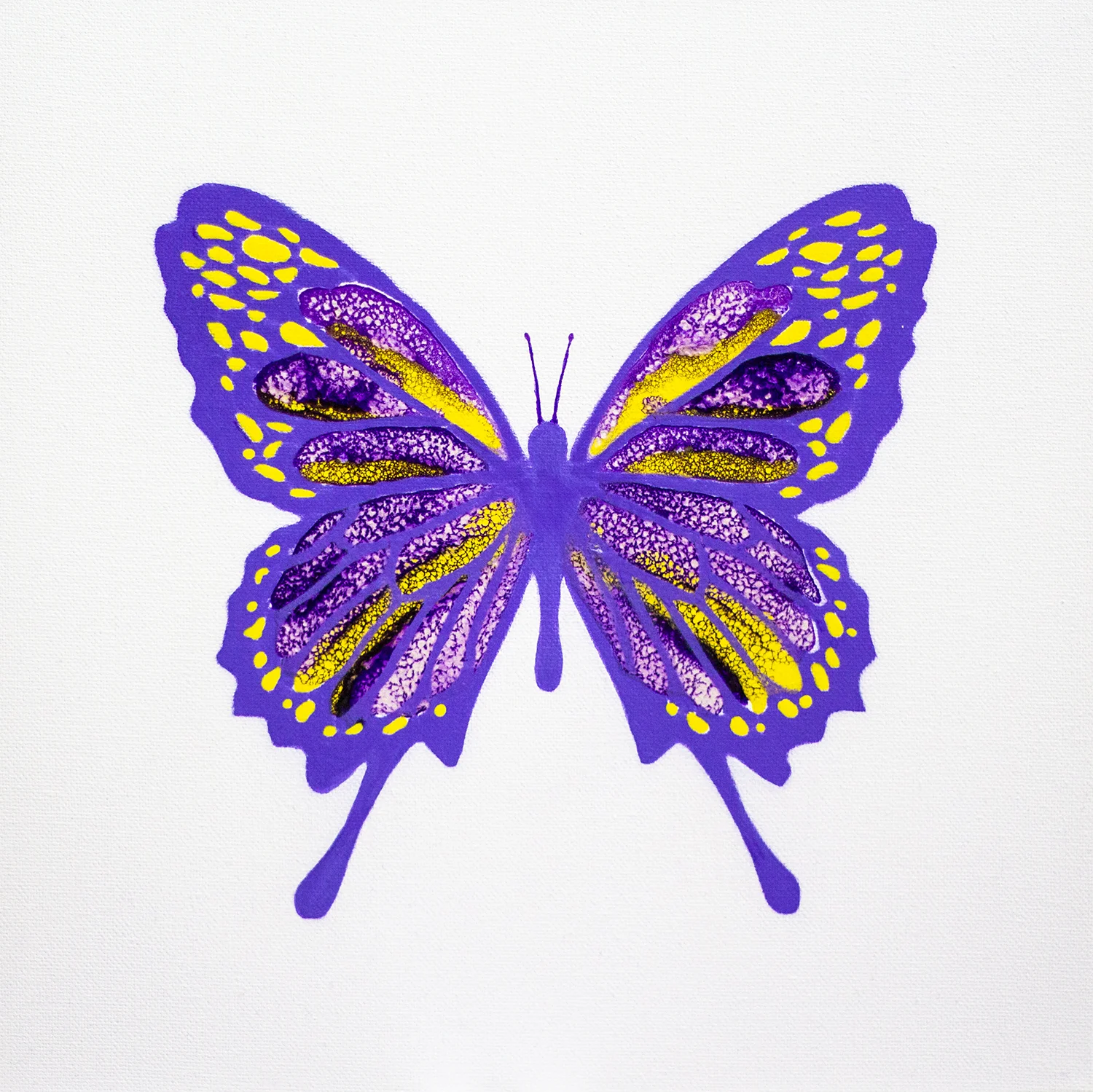 New Beginnings Nr 30