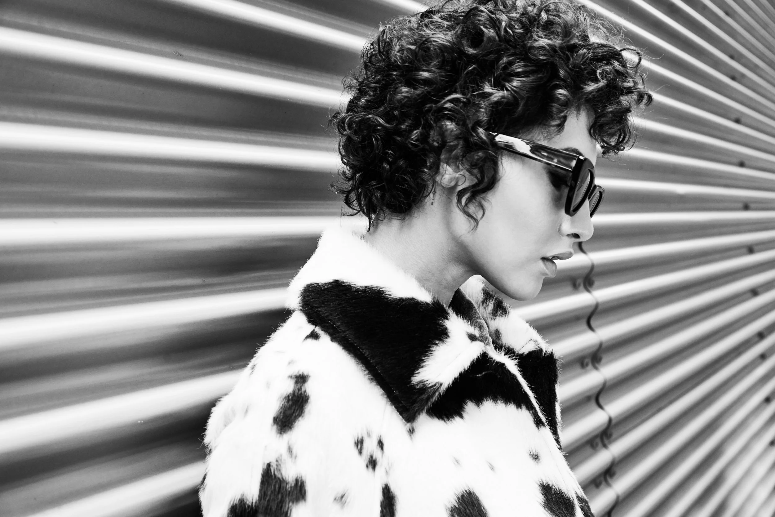 25402B907_cow print-577 BW.jpg