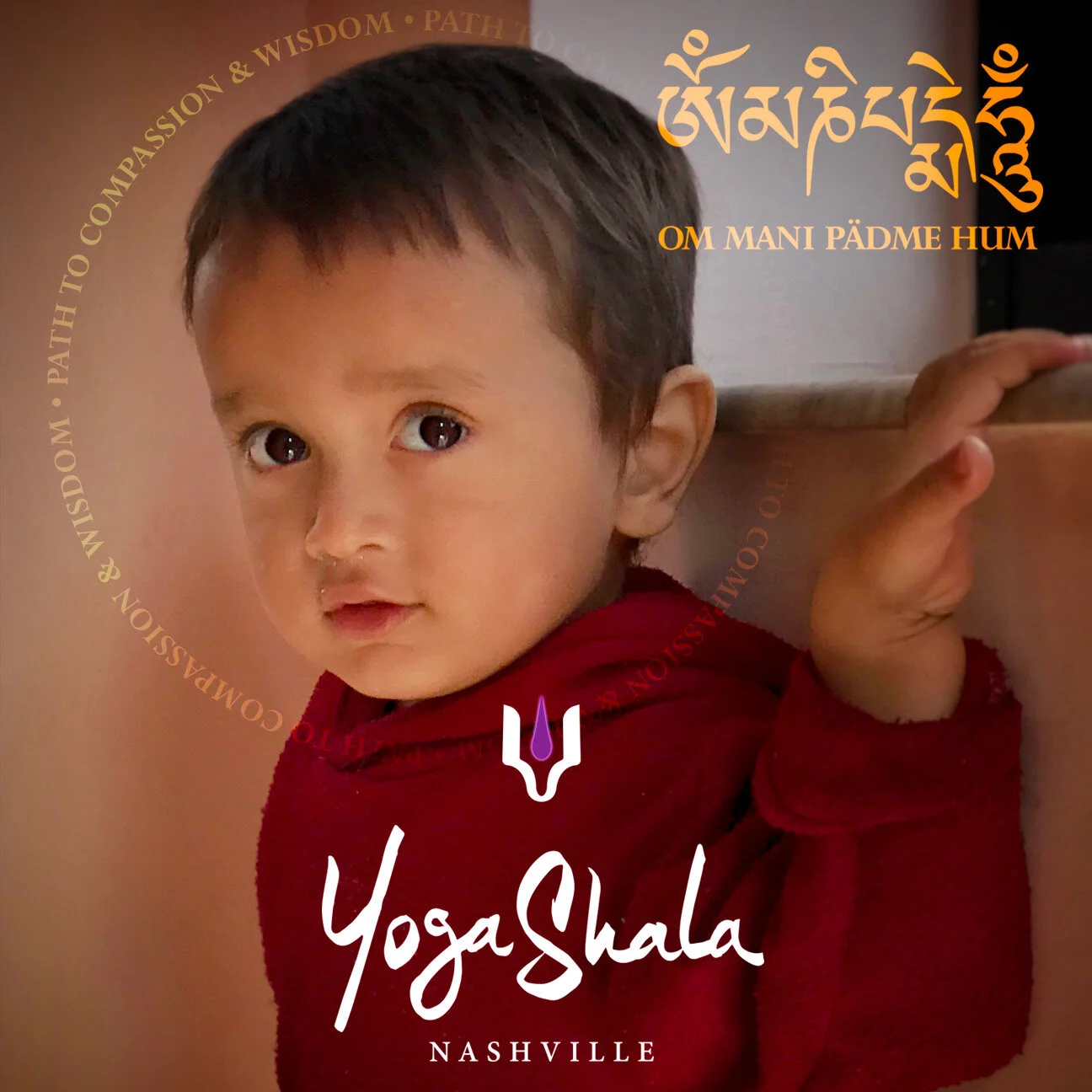 The Conviction of Compassion