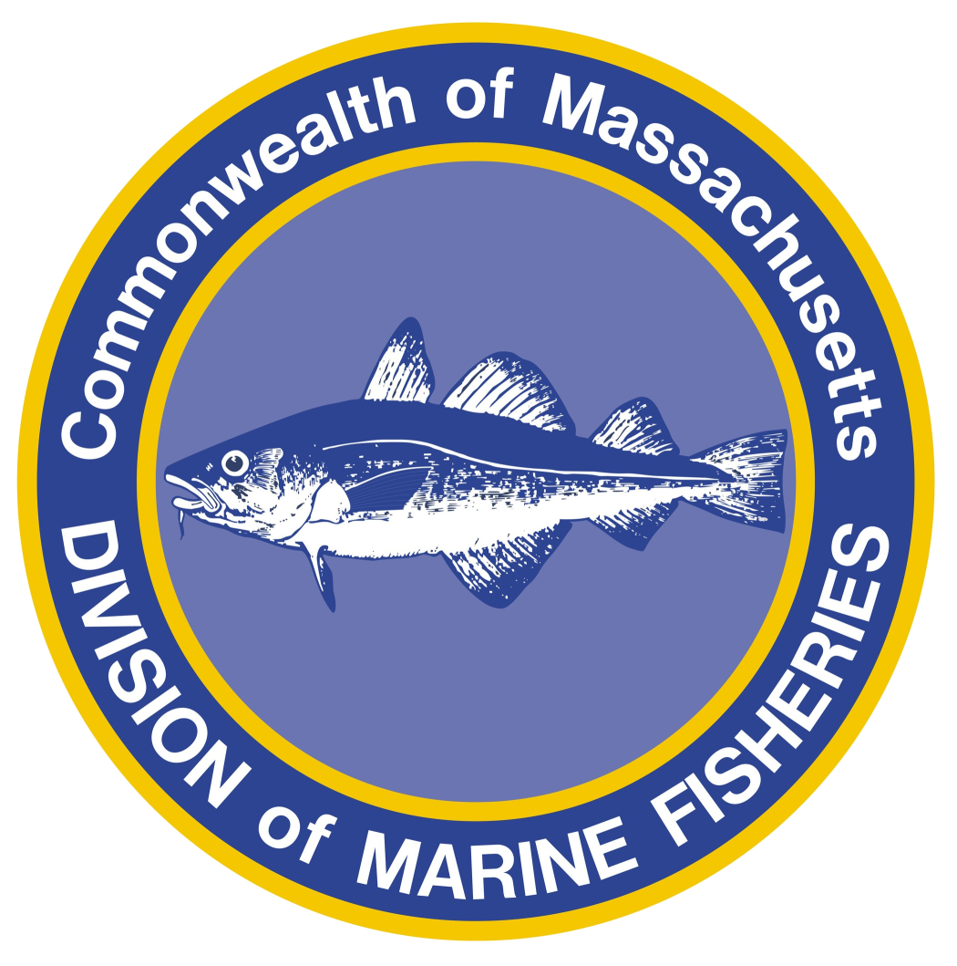division of marine fisheries.png