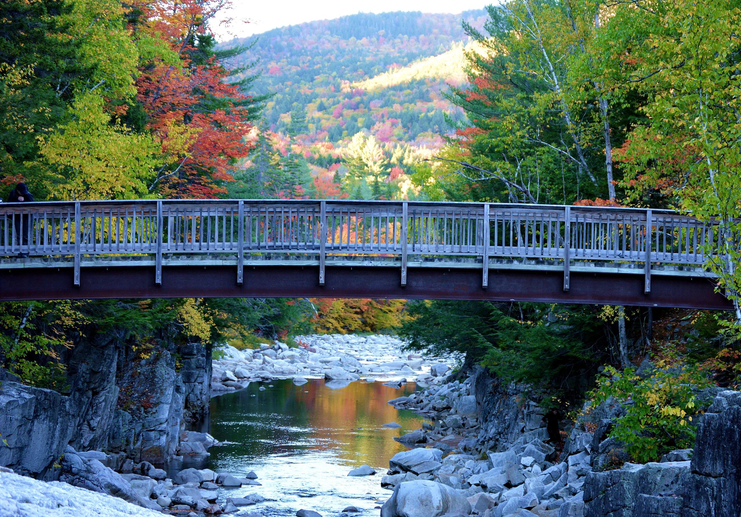 Autumn Bridge
