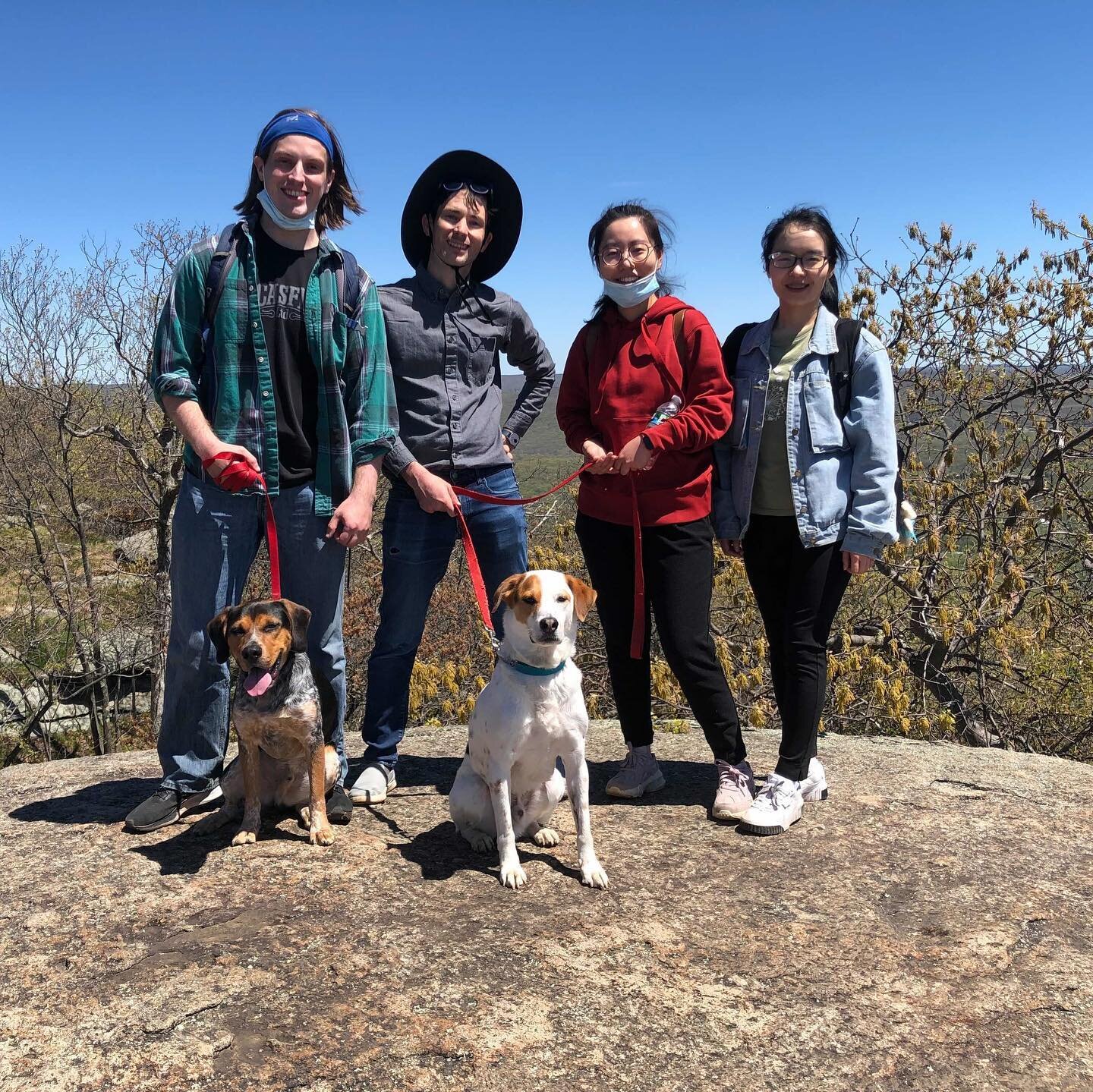 Another beautiful lab hike in Cold Spring! #mancialab #clarkelab thank you @olibclarke for organizing! #labdogs #labhike #labfam #coldspring #outoflab #luckyandgordo #bffs