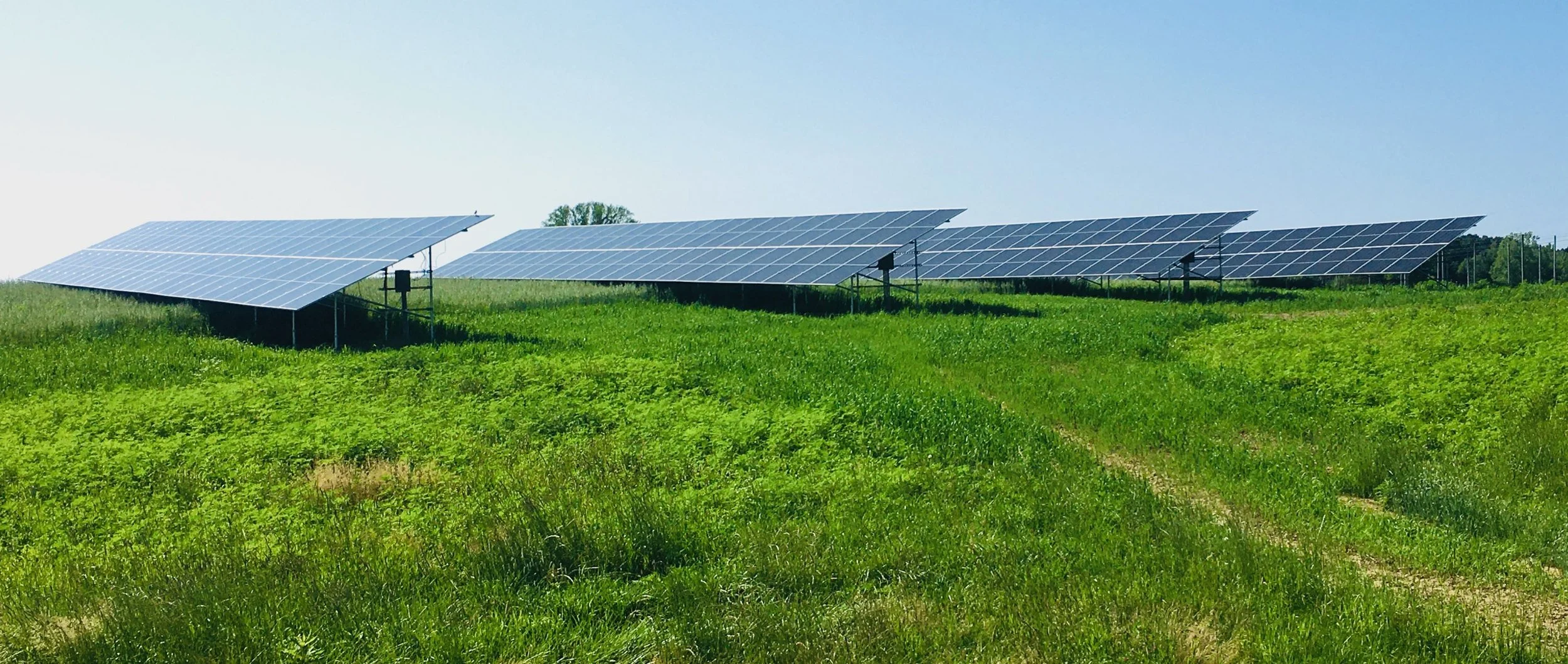 Debonne all arrays.jpg