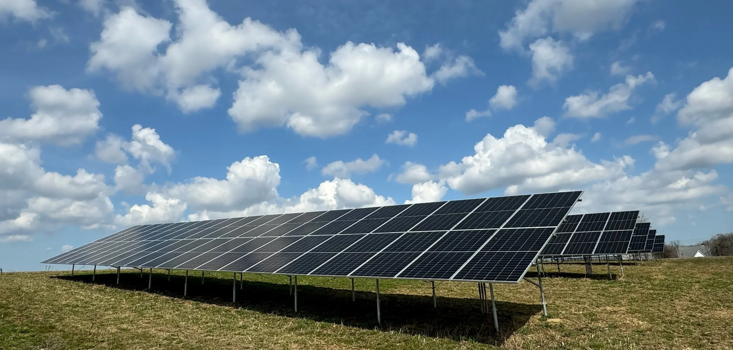 Debonne arrays sunny.2.jpg