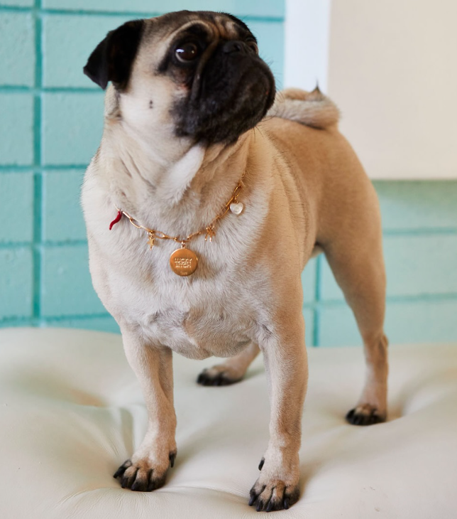 Screenshot 2026-02-04 at 10.38.24 AM.png