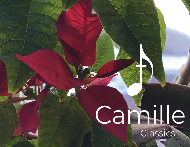 Once Upon a December: Accompaniment 