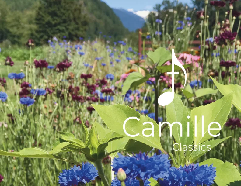 Over the Rainbow: Accompaniment